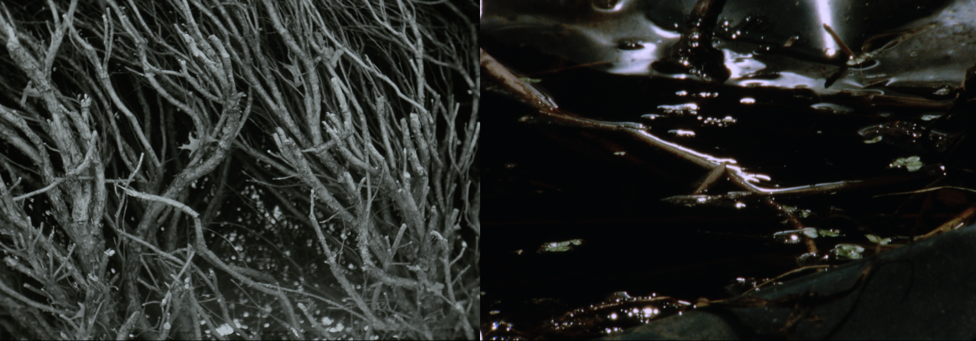 Soil Story